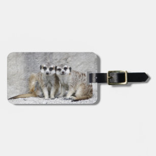 Meerkat-Paar Gepäckanhänger