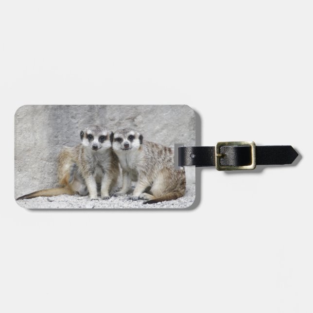 Meerkat-Paar Gepäckanhänger (Vorderseite horizontal)