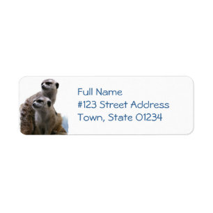 Meerkat Paar-Rücksendeadresse-Aufkleber