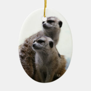 Meerkat Paar-Verzierung Keramik Ornament