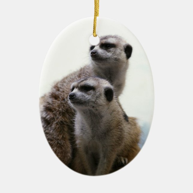 Meerkat Paar-Verzierung Keramik Ornament (Vorne)
