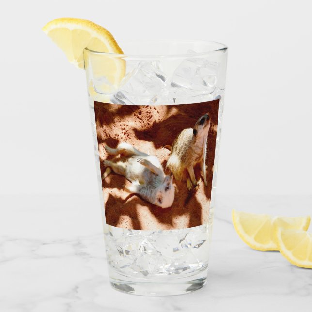 Meerkat Play Day Glas (Vorderseite Ice)