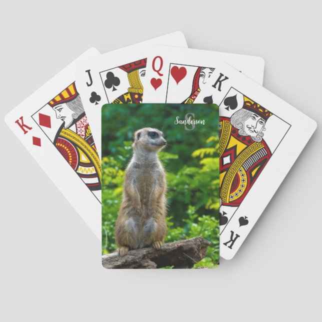 Meerkat Playing Cards Spielkarten (Rückseite)