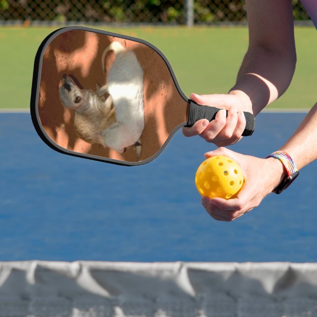 Meerkat Playtime, Pickleball Paddle (InSitu)