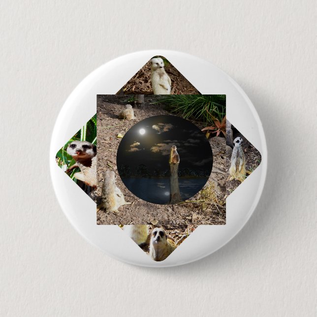 Meerkat Polyscope Button (Vorderseite)