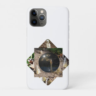 Meerkat Polyscope Case-Mate iPhone Hülle