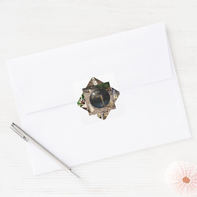 Meerkat Polyscope Quadratischer Aufkleber (Umschlag)