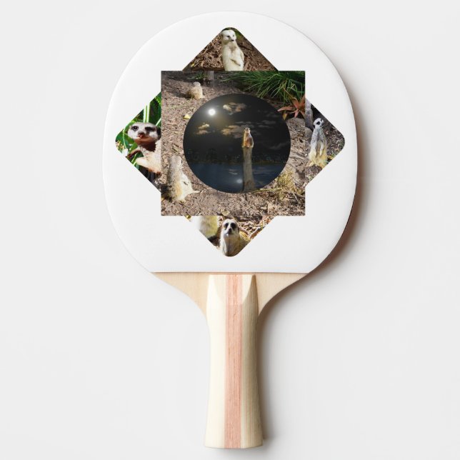 Meerkat Polyscope Tischtennis Schläger (Vorderseite)