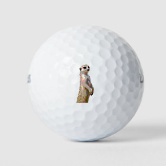 Meerkat - Pop Art Style & Posteried Golfball