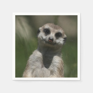 Meerkat-Portrait 004 Serviette