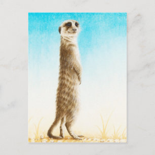 Meerkat Postcard Postkarte
