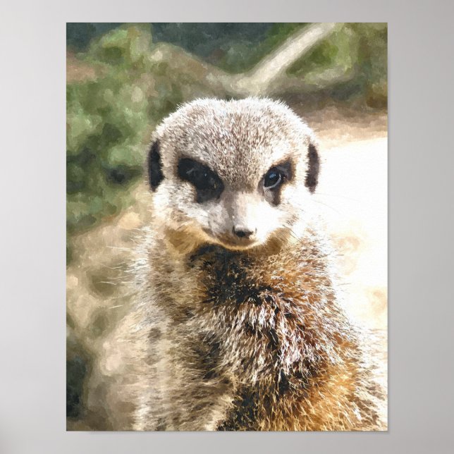 MEERKAT POSTER (Vorne)