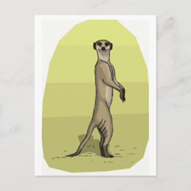 MEERKAT POSTKARTE (Vorderseite)