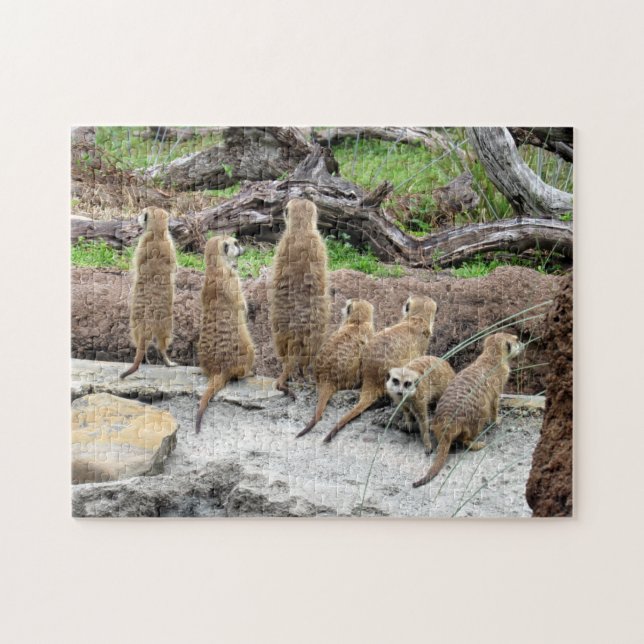 Meerkat Puzzle (Horizontal)
