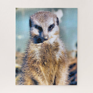 MEERKAT PUZZLE