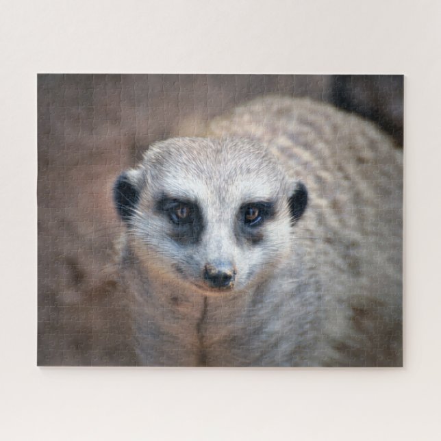 Meerkat Puzzle (Horizontal)