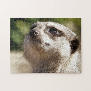 MEERKAT PUZZLE
