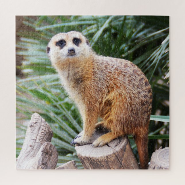 Meerkat Puzzle (Vertikal)