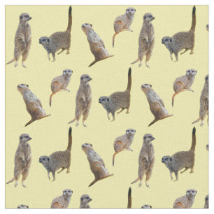 Meerkat Raserei-Gewebe (Gelb) Stoff