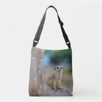 Meerkat SAT auf Baum
