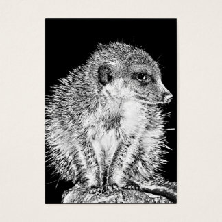 Meerkat, Schwarz und Weiß