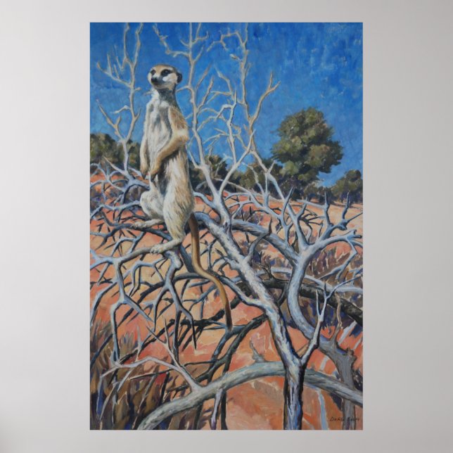 Meerkat sentinel - Kunstdruck Poster (Vorne)