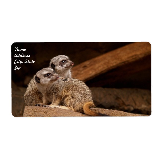 Meerkat Shipping Label (Vorne)