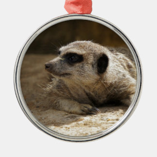 Meerkat Silbernes Ornament