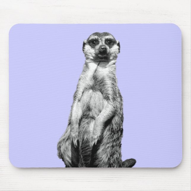 Meerkat Singrün-Hintergrund Mousepad (Vorne)