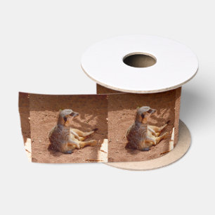 Meerkat Sitting Fotografy, Satin Ribbon Satinband