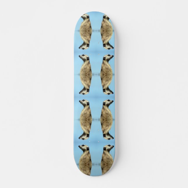 Meerkat Skateboard (Vorne)