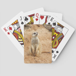 Meerkat Spielkarten