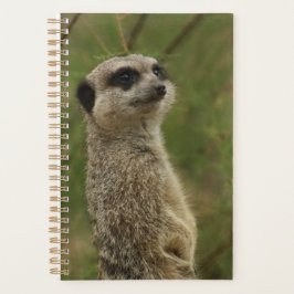 Meerkat Spiralplaner und Notizbuch Planer