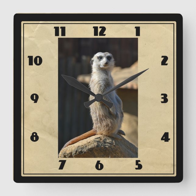 Meerkat Square Clock Quadratische Wanduhr (Vorderseite)