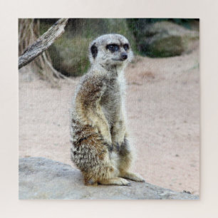 meerkat Stand Puzzle