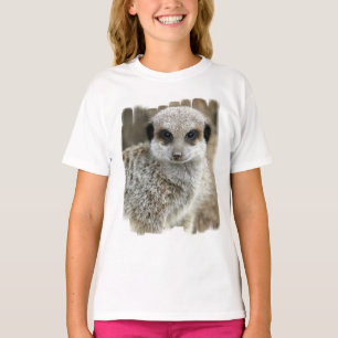 Meerkat stellen den T - Shirt des Mädchens