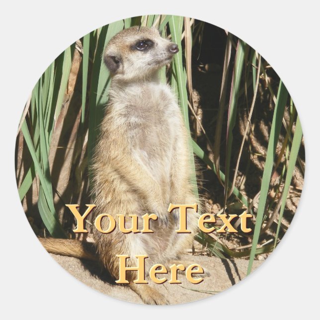 Meerkat Stickers (Vorderseite)