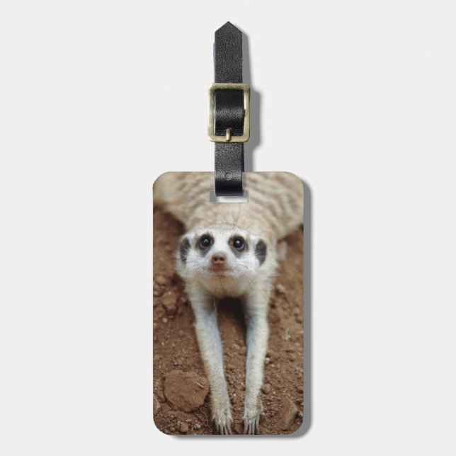 Meerkat (Suricata Suricatta) Kühlung Gepäckanhänger (Vorderseite vertikal)