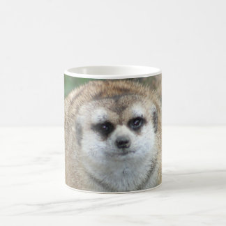Meerkat Tasse