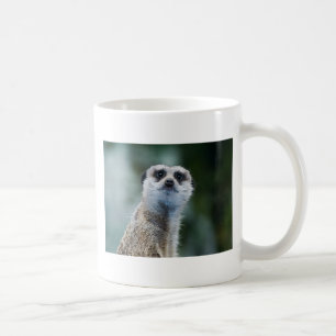 Meerkat Tasse