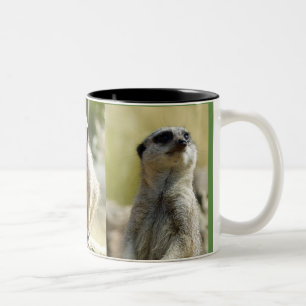 Meerkat Tasse