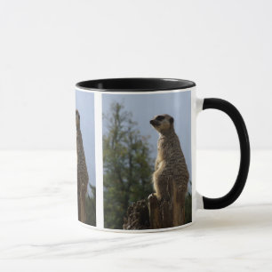 Meerkat-Tasse Tasse