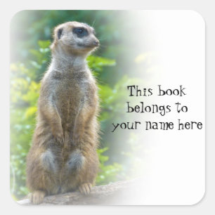 Meerkat "This book gehört" Aufkleber