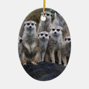 Meerkat Tiersafari Afrika niedliches Suricate Keramik Ornament