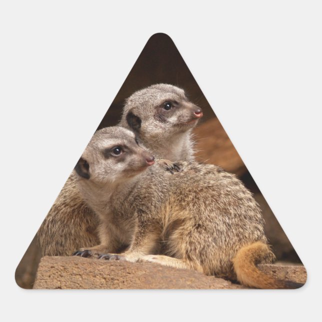 Meerkat Triangle Sticker (Vorderseite)