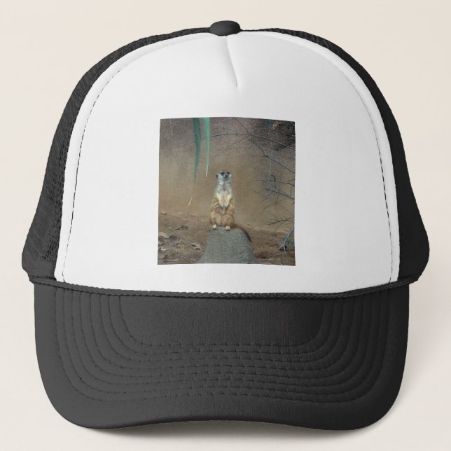 Meerkat Truckerkappe (Vorderseite)