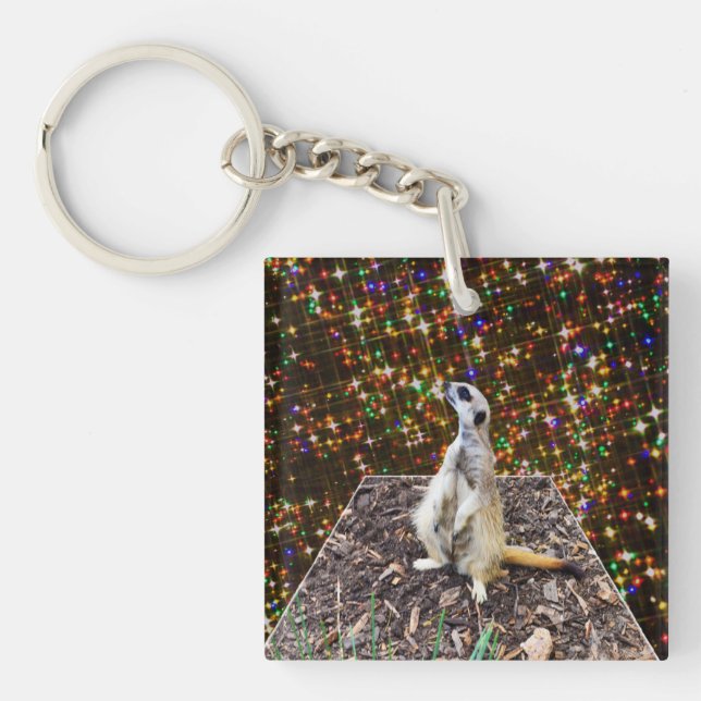 Meerkat Twinkle Stars, Keyring Schlüsselanhänger (Vorderseite)