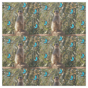 Meerkat und blaue Schmetterlinge, Stoffe