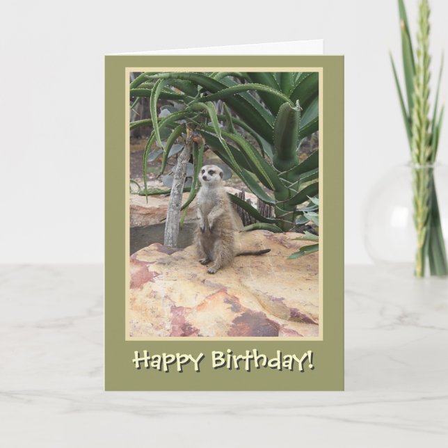 Meerkat und Happy Birthday Karte (Vorderseite)