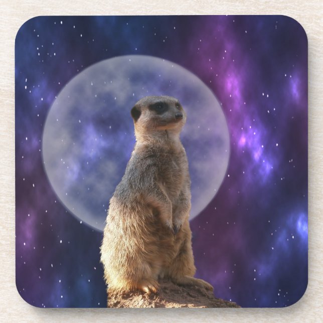 Meerkat und Vollmond Getränkeuntersetzer (Vorderseite)